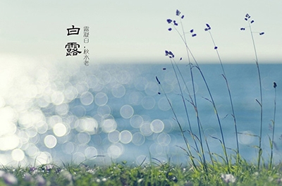 白露降，秋意濃