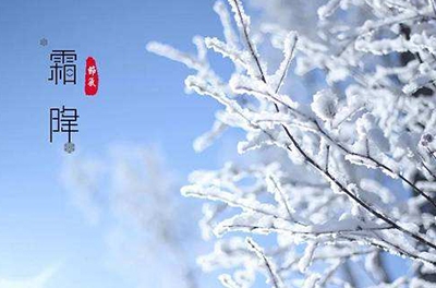 葉落草枯，秋晚凝霜