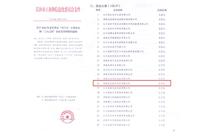 熱烈慶賀我司旗下子公司深點軟件進入長沙“三百之星”企業名單